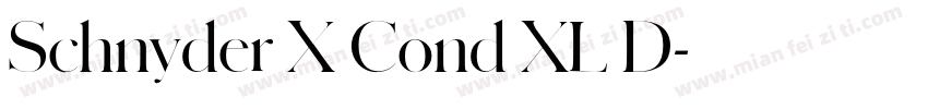Schnyder X Cond XL D字体转换